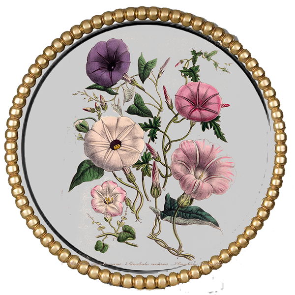 Flower Silver Round III