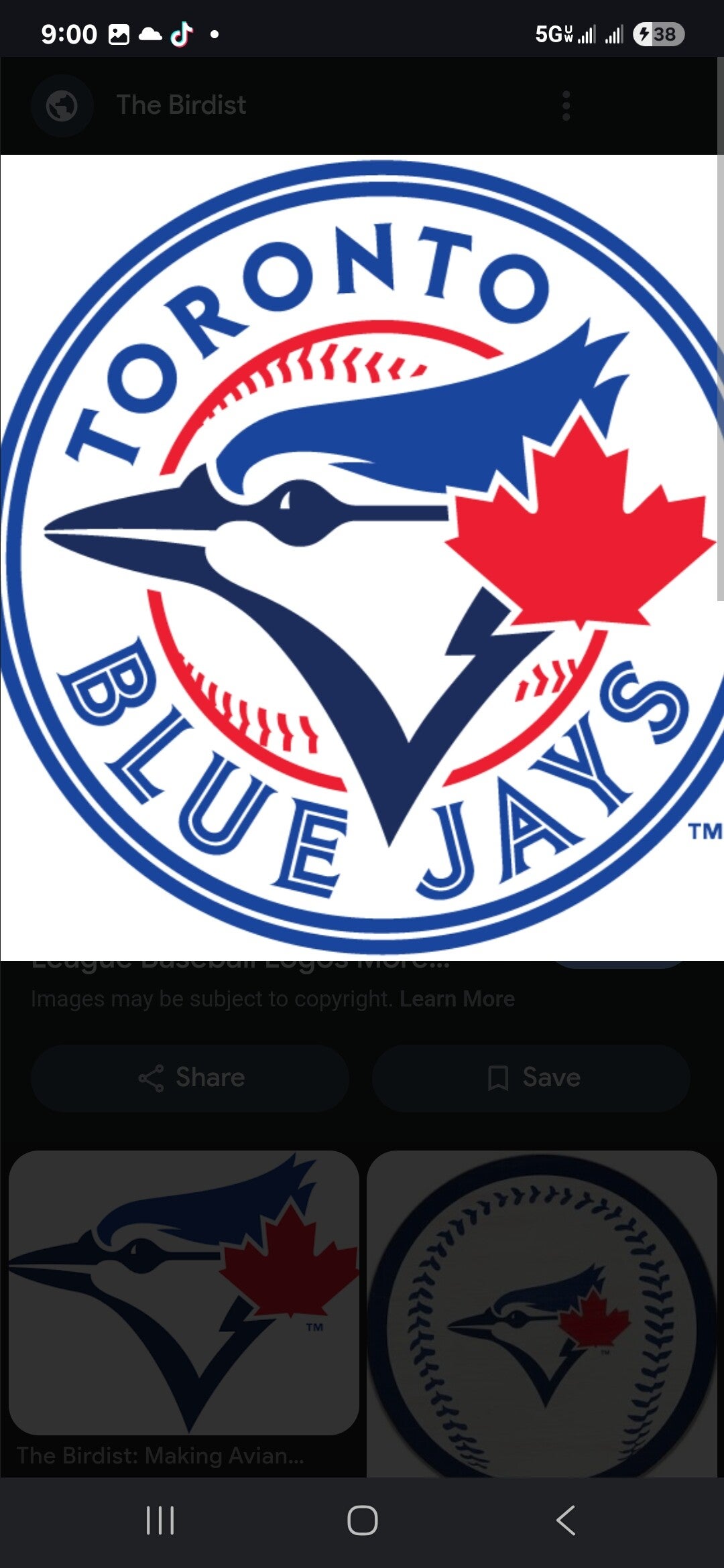Bluejays
