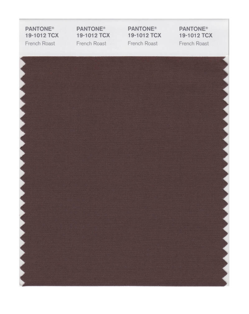 pantone-19-1012-tcx-french-roast-standard-dx19yv.jpg