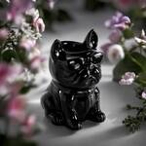 Brûleur - Bouledogue Noir