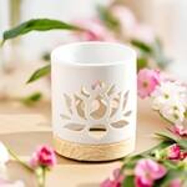 Brûleur - Nénuphar