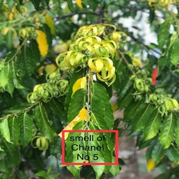 img_7834-1.jpeg
