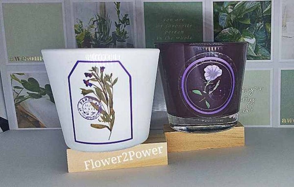 Kaarshouder Lavendel