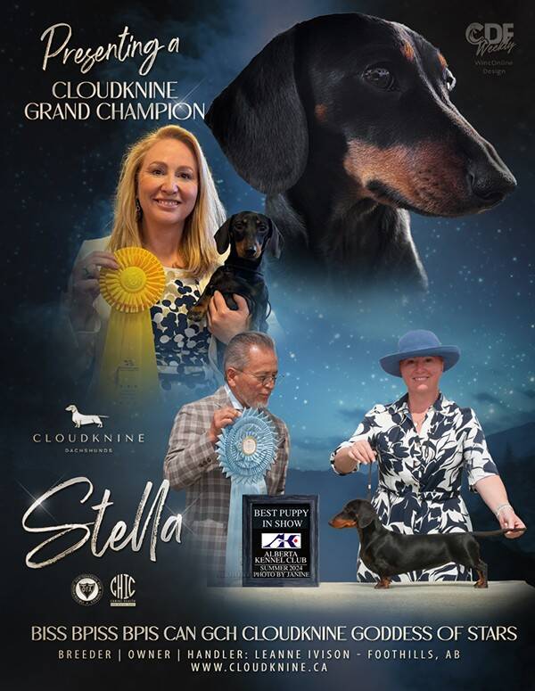 26-06-17-new-grand-champion-ad-cdf-standard.jpg