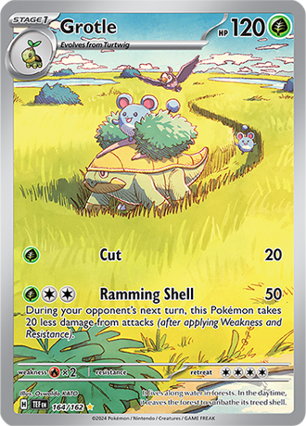 Grotle 164/162 Temporal forces