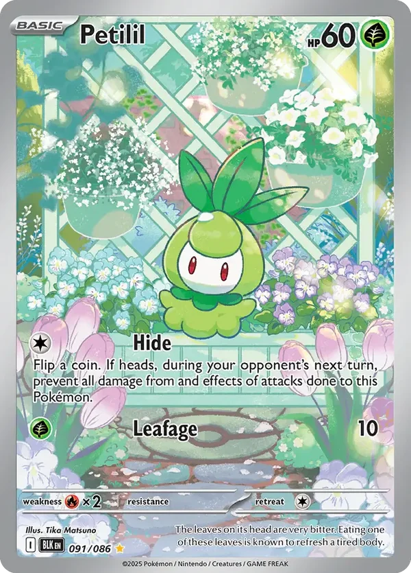 Petilil 091/086 Black Bolt