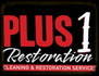 PLUS 1 RESTORATION