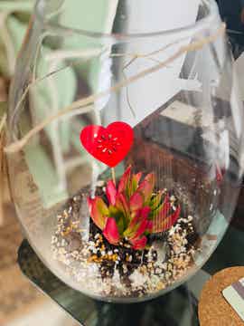 TERRARIO CON VASO DI VETRO