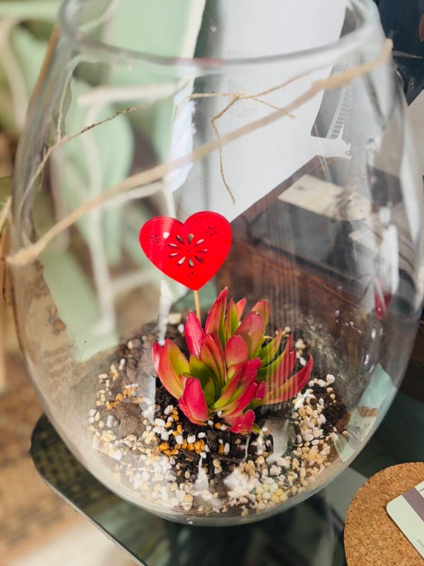 TERRARIO CON VASO DI VETRO