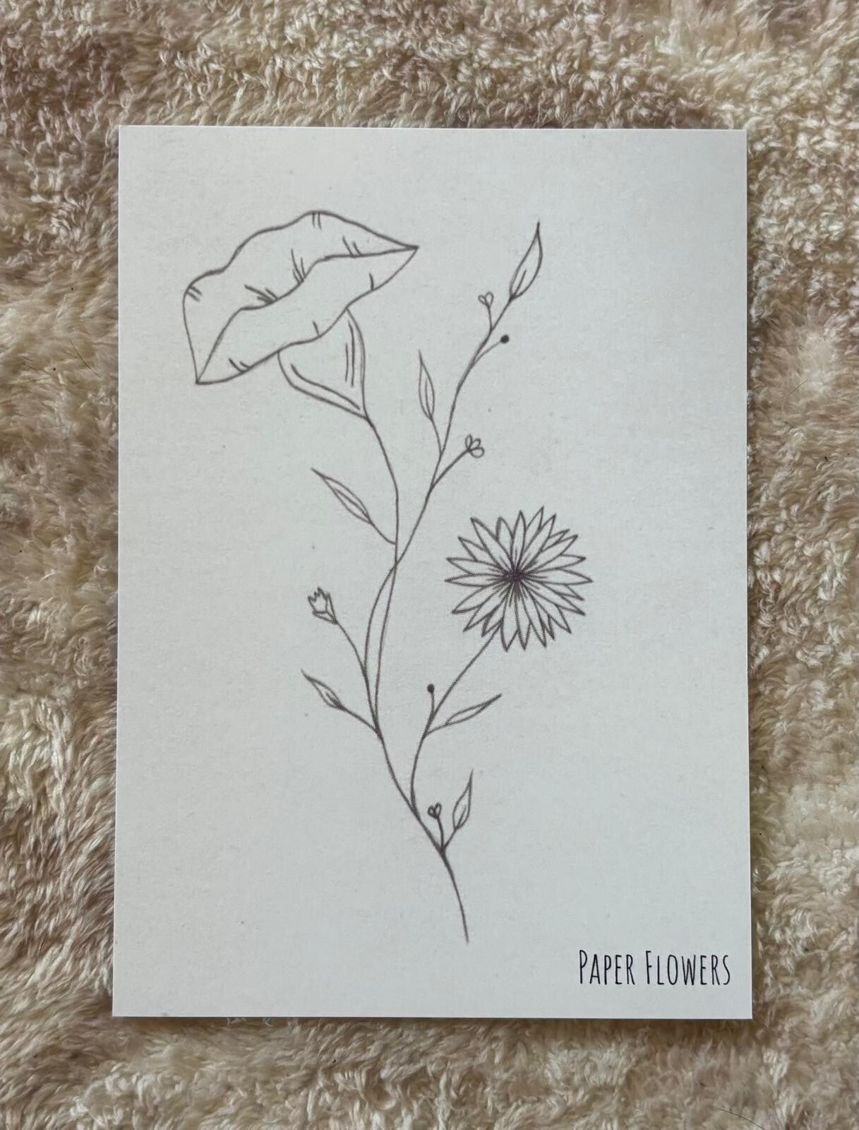 Wenskaart september - aster & klimmende winde