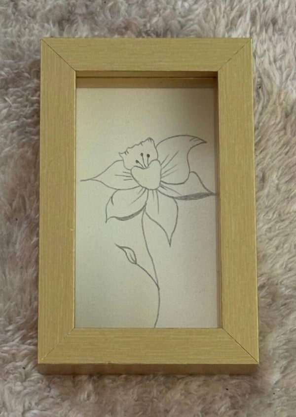 Ingelijste illustratie - Narcis - Maart