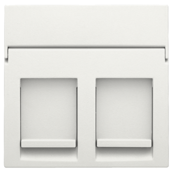 Niko 101-65200 centraalplaat data 2x rj white