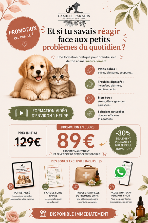 Formation soins quotidiens du chien et du chat au naturel