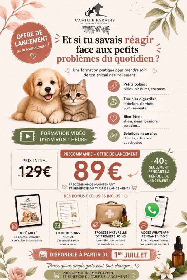 Formation Soins quotidiens du chien et du chat au naturel