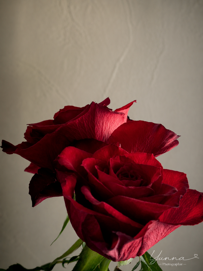 file_00000000ac3472469d5bdce2d5a50980-standard.png