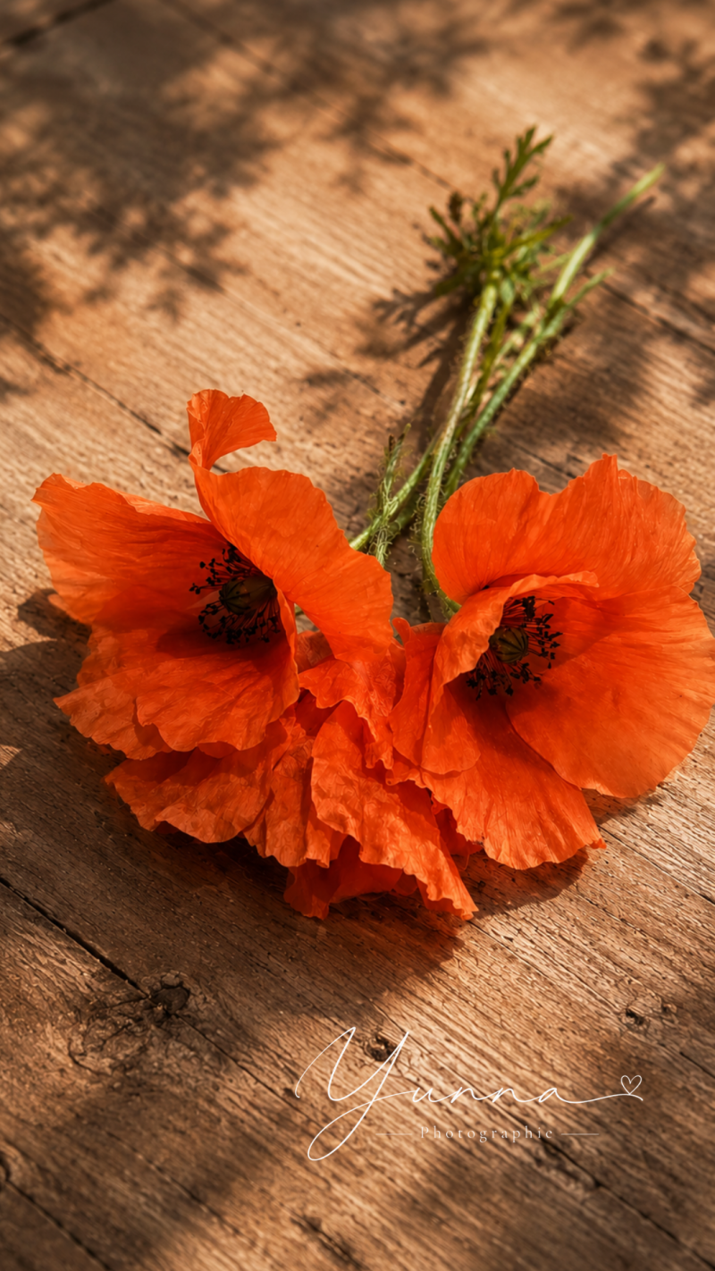 partie-gratuite-site-r-seaux-sociaux-pinterest-module-a-mon-h_20260630_110649_0000-standard.png