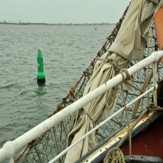 DSC_1921JPG-1.jpg