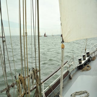 DSC_1746JPG-1.jpg