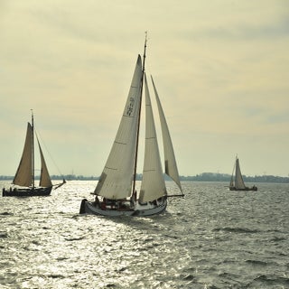 DSC_1640GroteJagerJPG-1.jpg