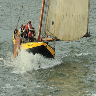DSC_1663_cr-1.jpg