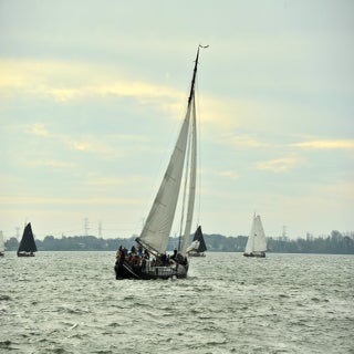 DSC_1821JPG-1.jpg