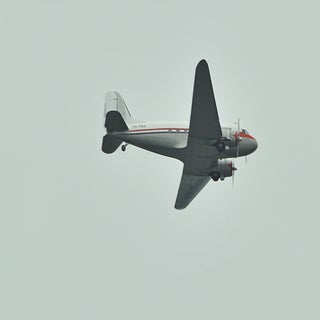 DSC_1862_cr-1.jpg