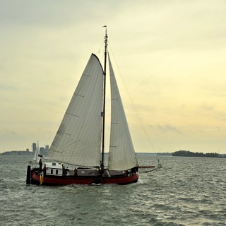 DSC_1785JPG-1.jpg