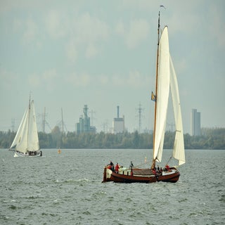 DSC_1672_cr-1.jpg