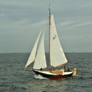 DSC_1645JPG-1.jpg