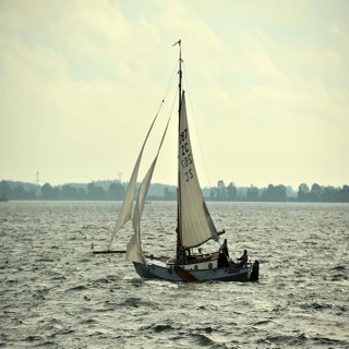 DSC_1629JPG-1.jpg