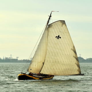 DSC_1655_cr-1.jpg