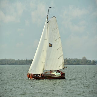 DSC_1685JPG-1.jpg