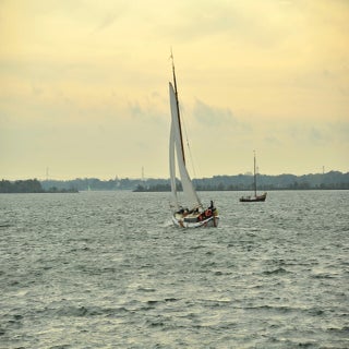DSC_1742JPG-1.jpg