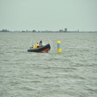 DSC_1935JPG-1.jpg