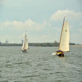 DSC_1628JPG-1.jpg