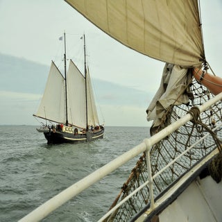 DSC_1726JPG-1.jpg