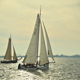 DSC_1639GroteJagerJPG-1.jpg