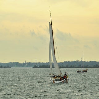 DSC_1743_cr-1.jpg