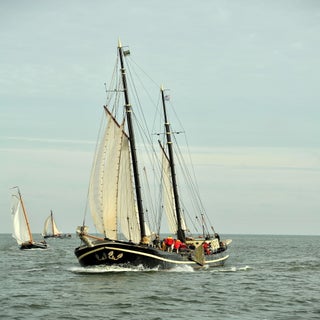 DSC_1695JPG-1.jpg