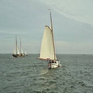 DSC_1692JPG-1.jpg