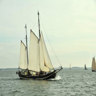 DSC_1700JPG-1.jpg