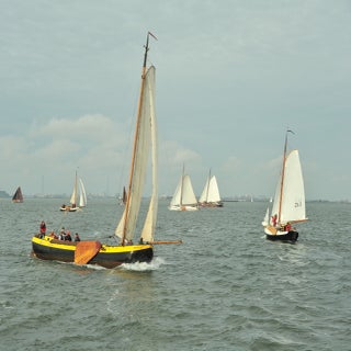 DSC_1668JPG-1.jpg