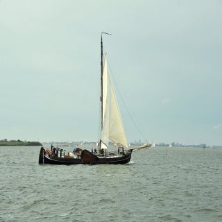 DSC_1806JPG-1.jpg