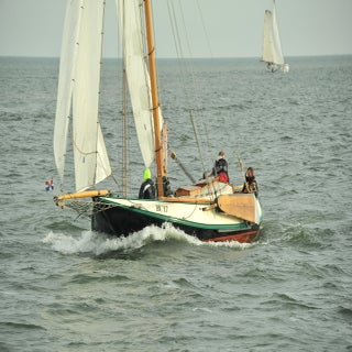 DSC_1643JPG-1.jpg