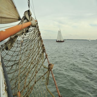 DSC_1781JPG-1.jpg