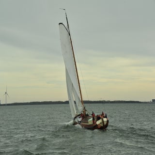 DSC_1880JPG-1.jpg