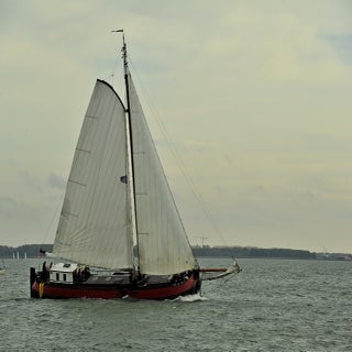 DSC_1782JPG-1.jpg