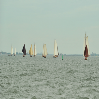 DSC_1761_cr-1.png