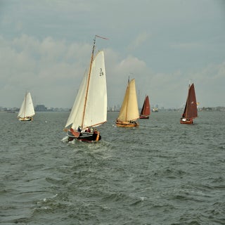 DSC_1653JPG-1.jpg