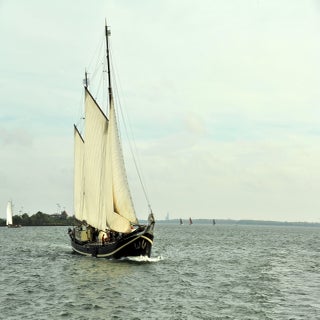 DSC_1698JPG-1.jpg